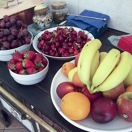 Alojamento de Turismo Rural Casa Luis